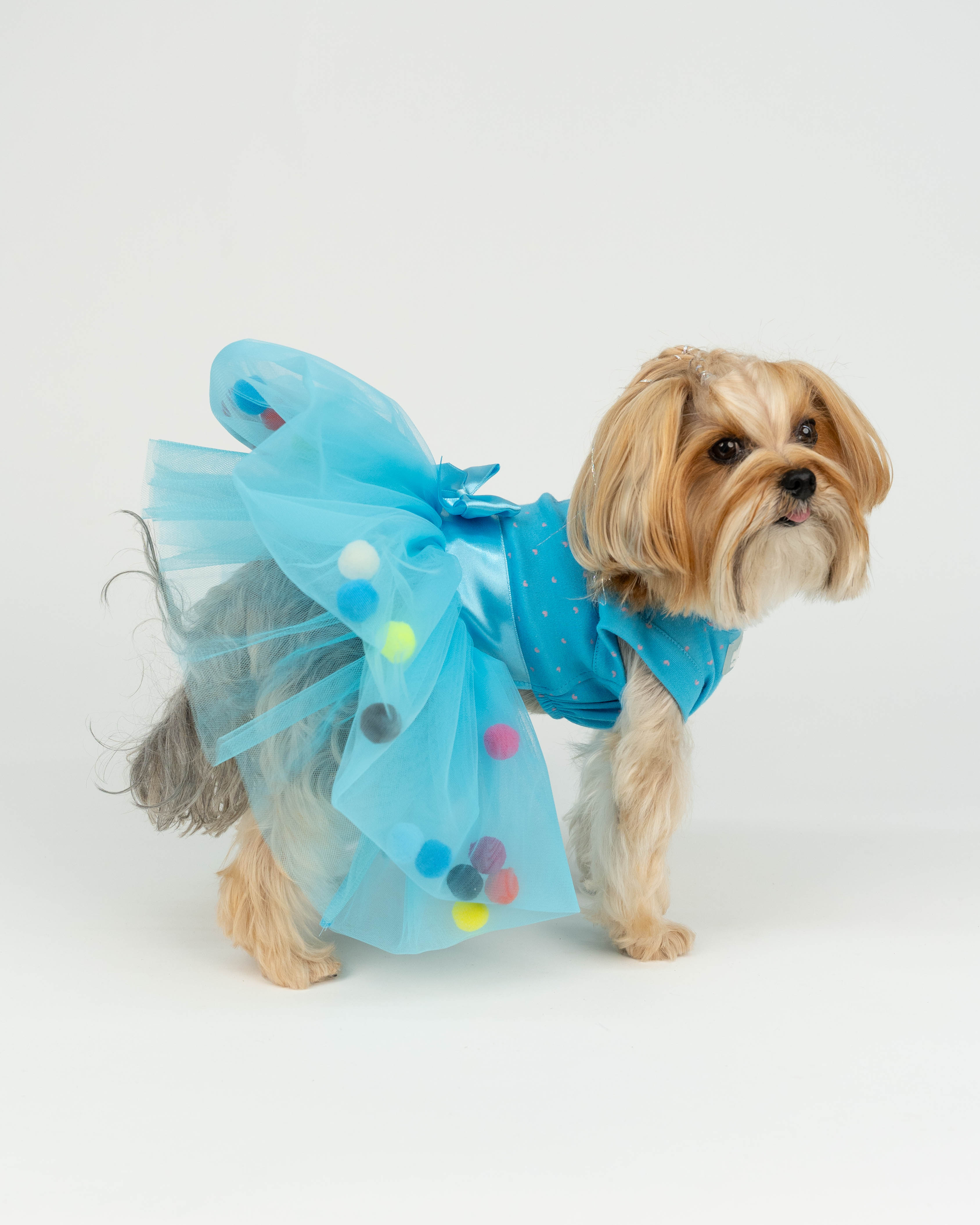 CANDY TÜTÜ MAVİ